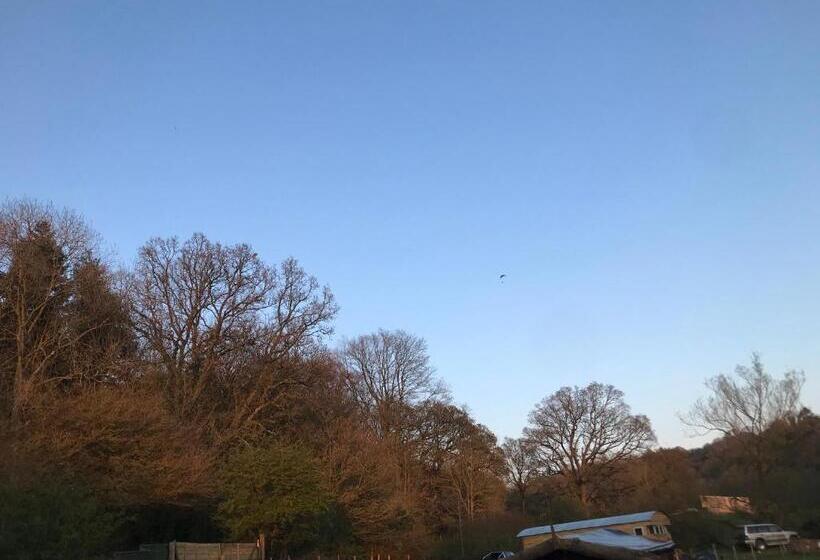 فندق Shepherds Huts Ham Hill, 2 Double Beds, Bathroom, Lounge, Diner, Kitchen, Love Dogs & Cats Looking O