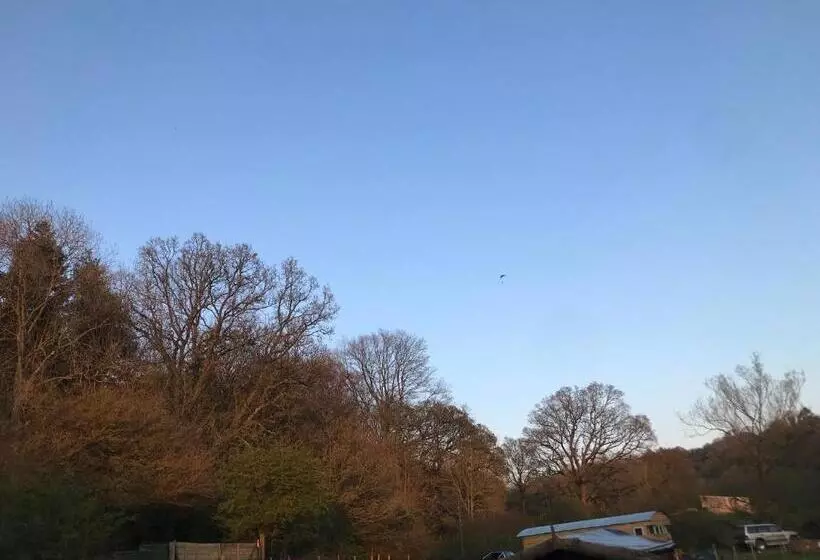 هتل Shepherds Huts Ham Hill, 2 Double Beds, Bathroom, Lounge, Diner, Kitchen, Love Dogs & Cats Looking O