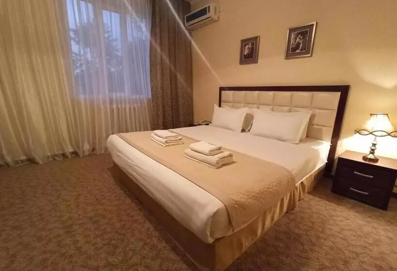 هتل Silk Way Boutique