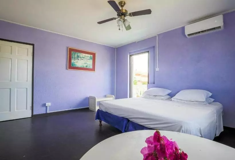 پانسیون El Retreat Guest House