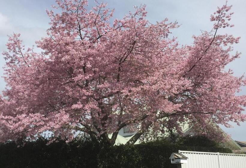 پانسیون Kingsley Quarters