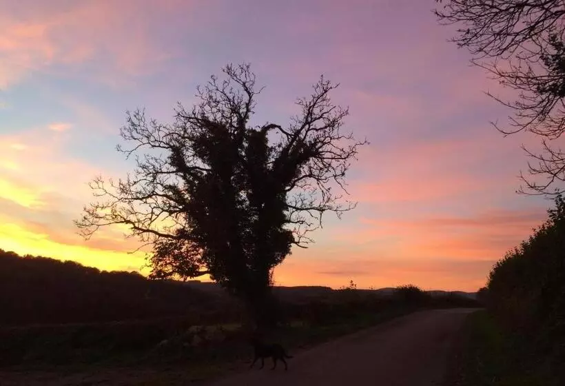 ベッドアンドブレックファースト Le Moulin De Razou