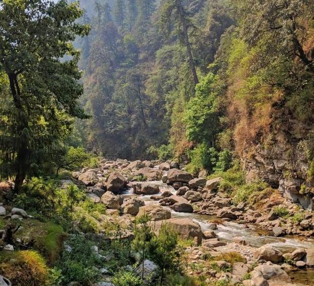 酒店 Tirthan Anglers  Retreat