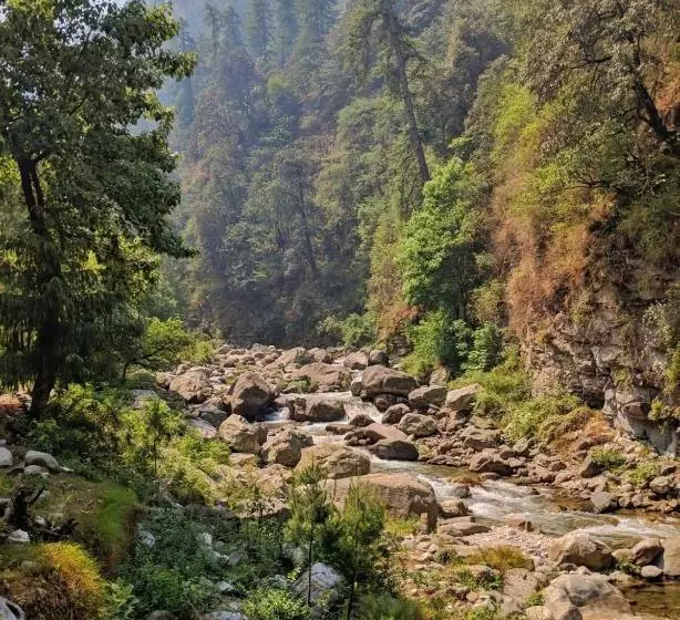 Hotelli Tirthan Anglers  Retreat