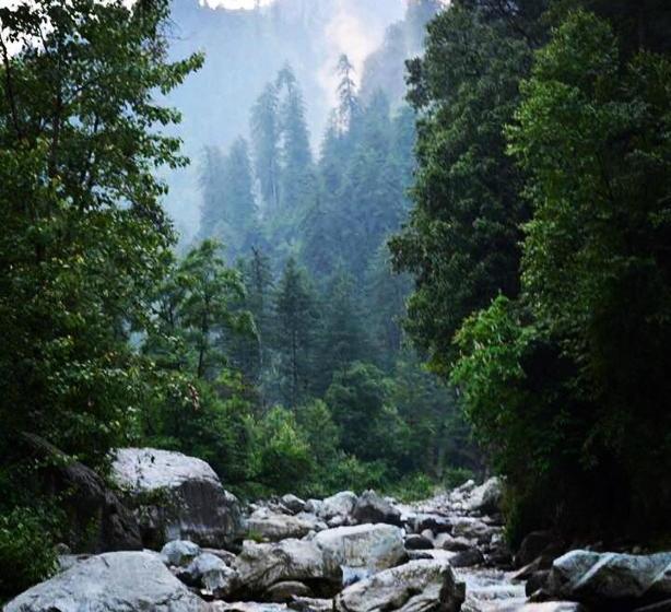 酒店 Tirthan Anglers  Retreat