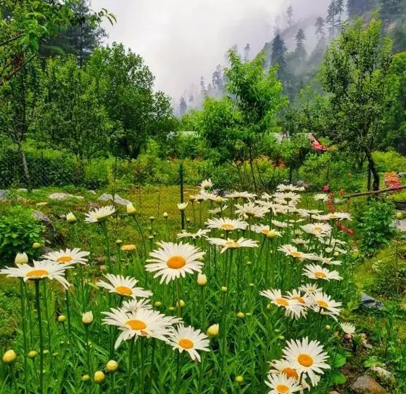 Hotelli Tirthan Anglers  Retreat