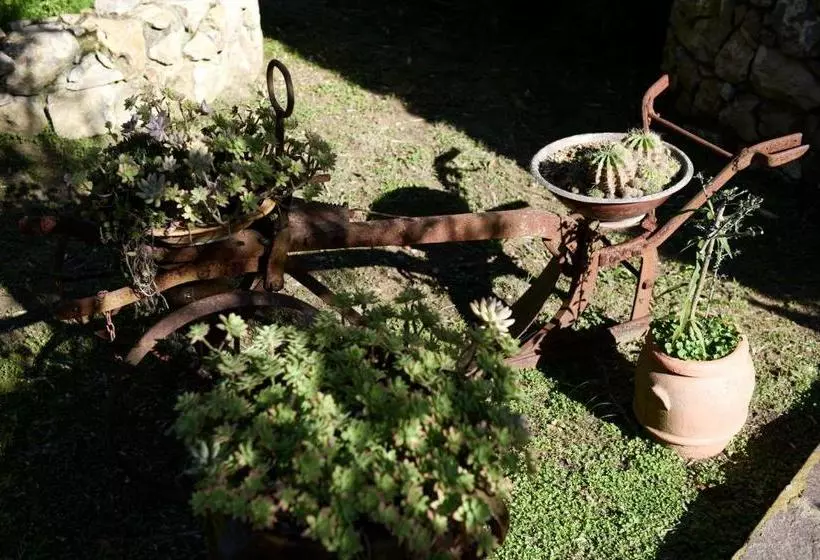 Majatalo Villa Gallorosso