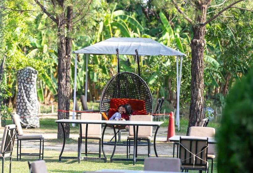 Dreamland Gold Resort &