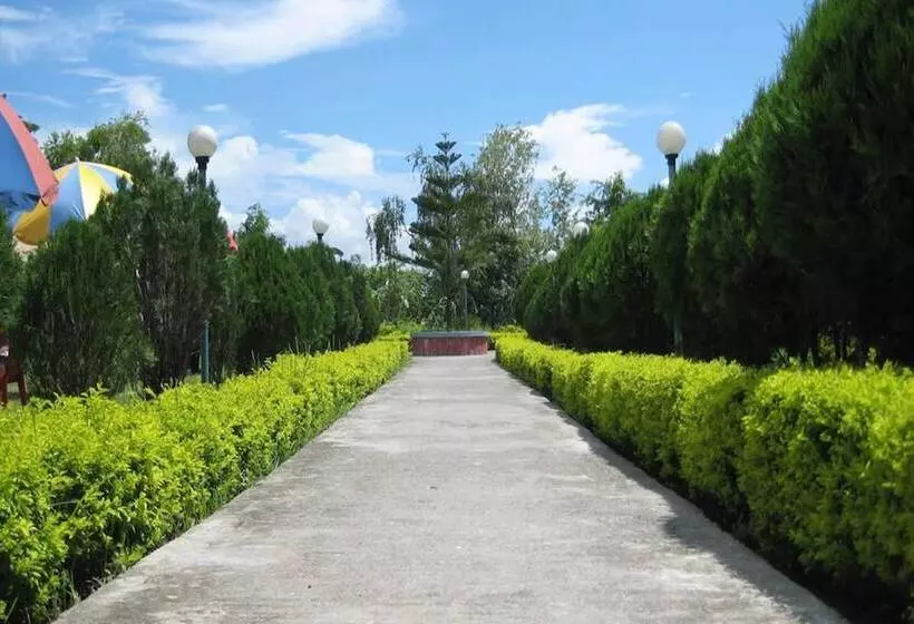 Dreamland Gold Resort &