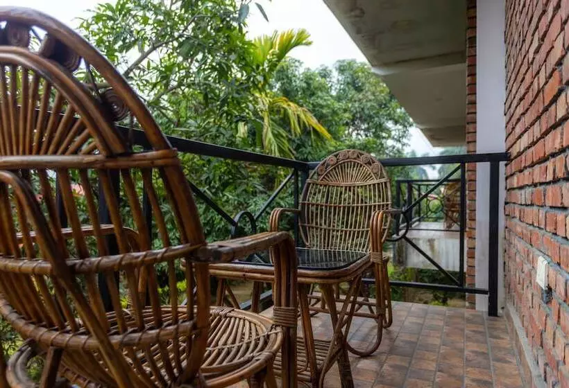 Dreamland Gold Resort &