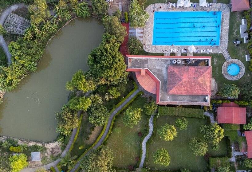 Dreamland Gold Resort &