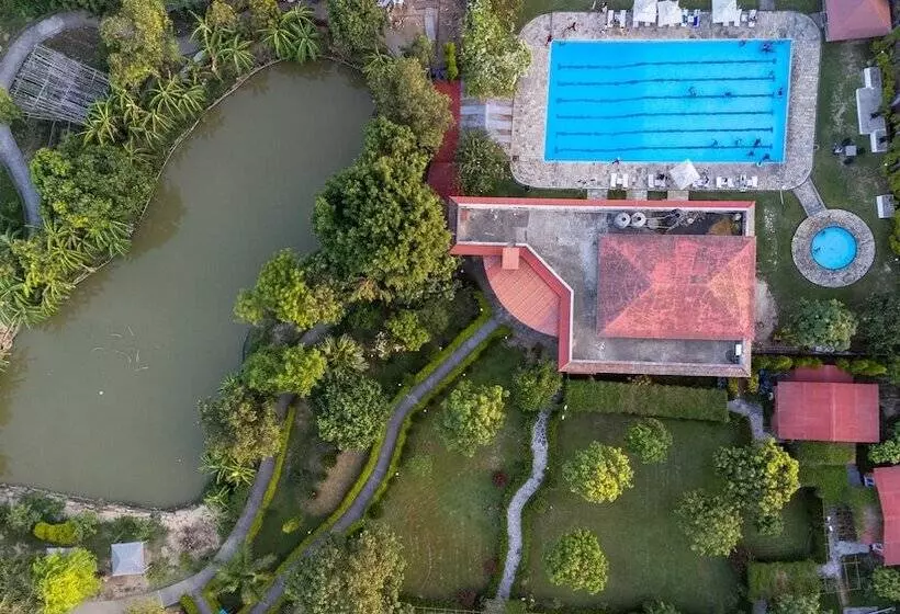 Dreamland Gold Resort &