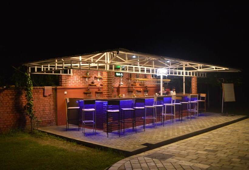 Dreamland Gold Resort &