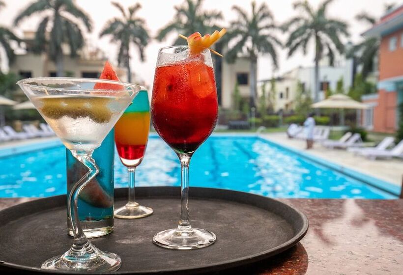 Dreamland Gold Resort &