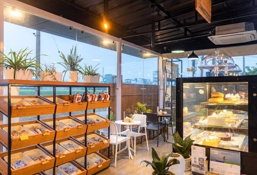 Dreamland Gold Resort &