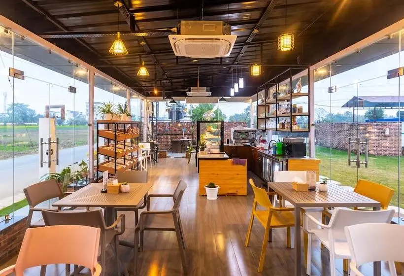 Dreamland Gold Resort &