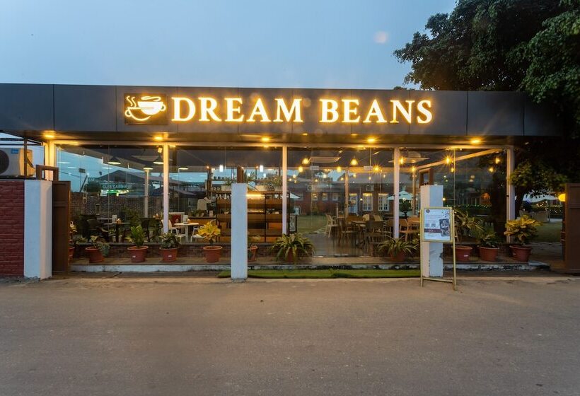 Dreamland Gold Resort &