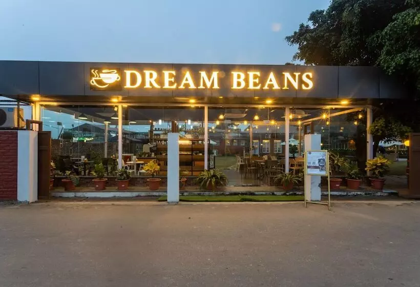 Dreamland Gold Resort &