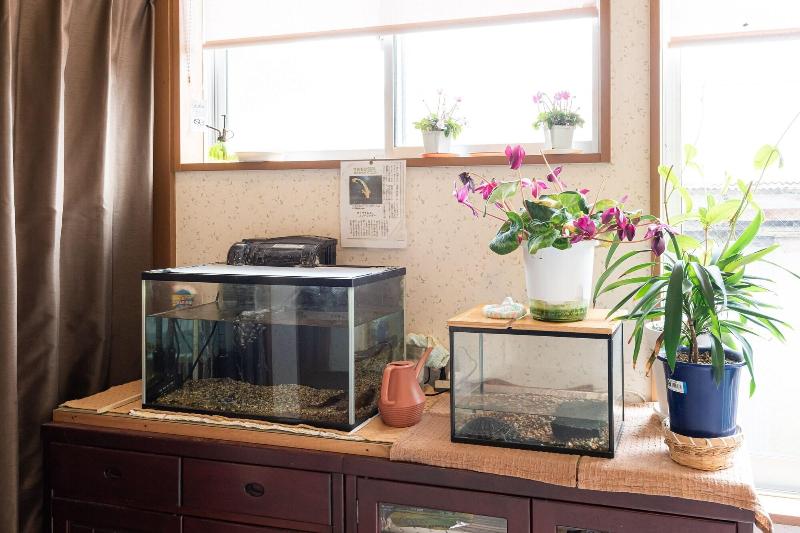 פנסיון Tabist Minshuku Kyouguchiya Hachibuse