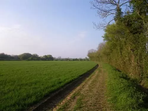 Aamiaismajoitus (B&B) South Norfolk Guest House