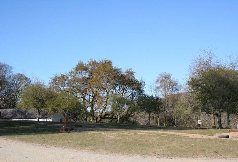 Great Trethew Manor Hotel & Self Catering Lodges