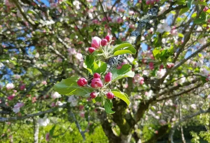 Great Trethew Manor Hotel & Self Catering Lodges