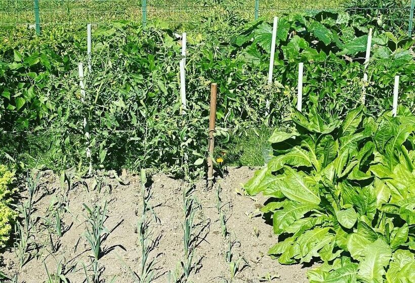 فندق Auberge Le Relais