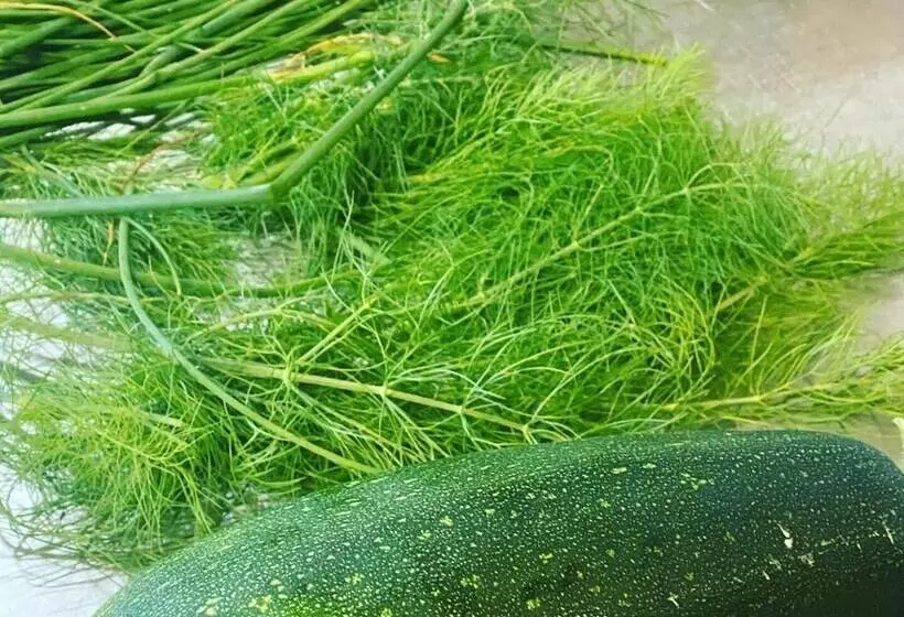 酒店 Auberge Le Relais