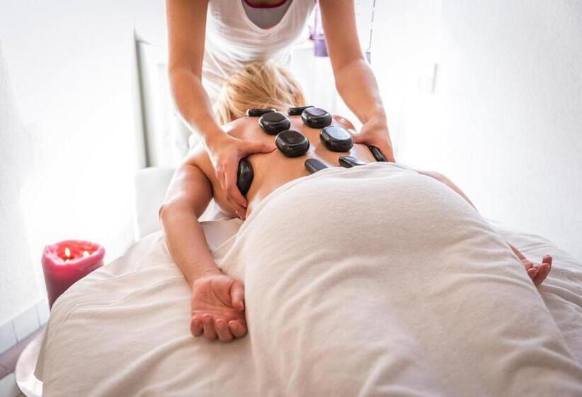 בית מלון כפרי Central