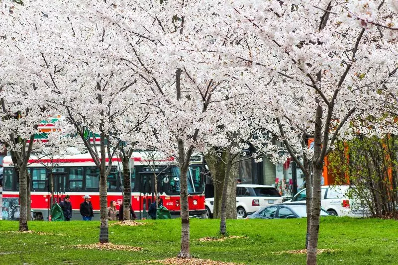 هتل Gladstone House