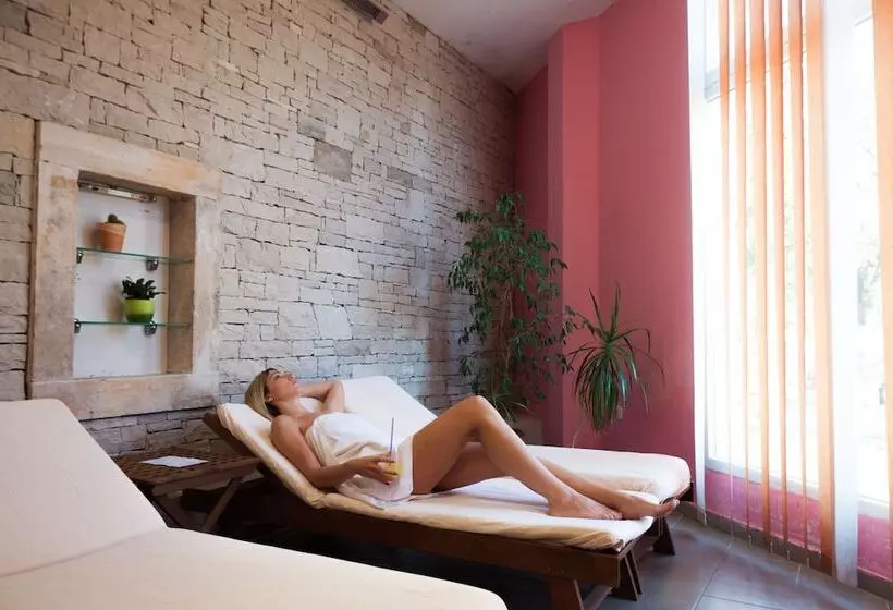 Отель Health Resort Spa Istarske Toplice Sv Stjepan