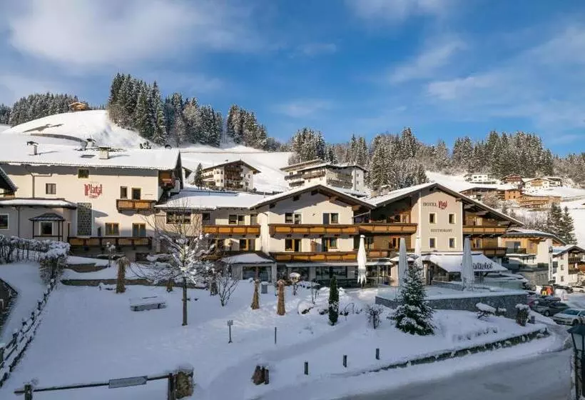 Отель Platzl