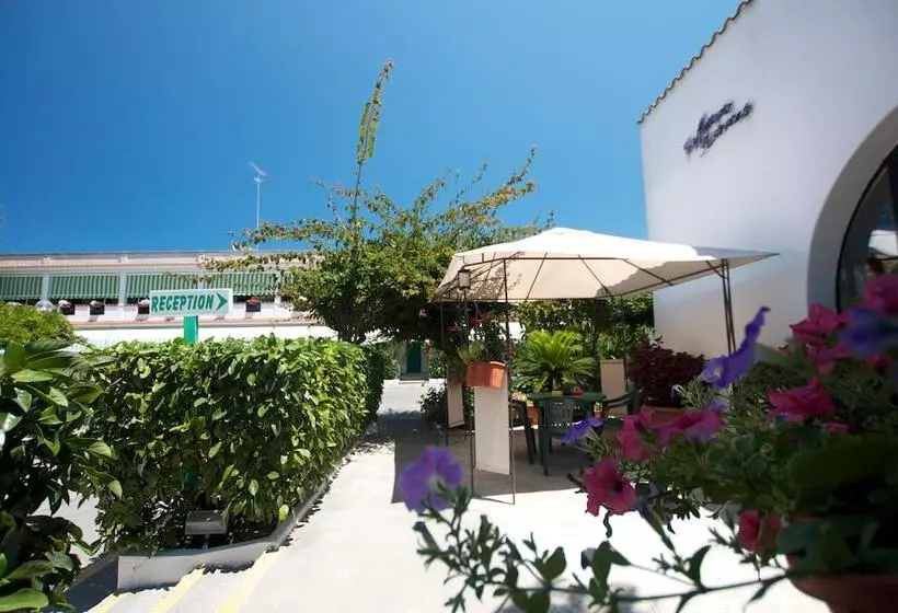 בית מלון כפרי Residence Nemo