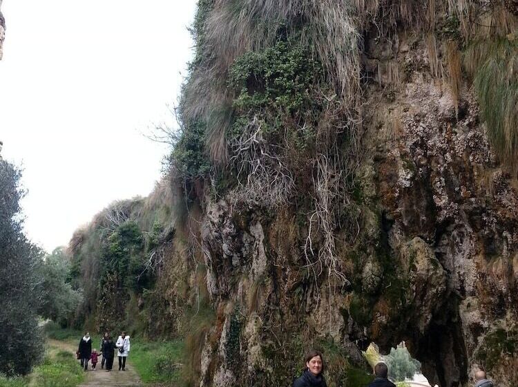 교외 호텔 Cuevas Almagruz