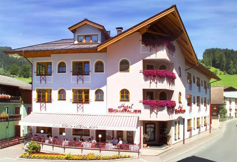 酒店 Schattauer
