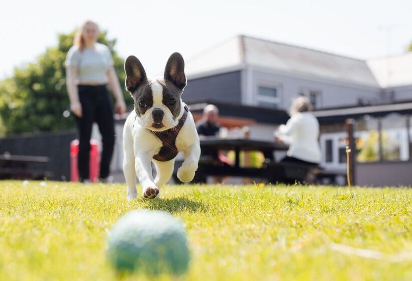 فندق The Imperial Dragon