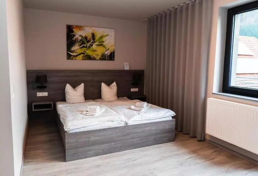 Hotelli Zur Schonenburg