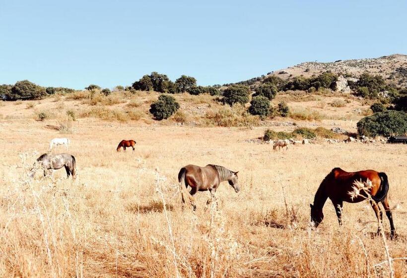 Los Pilares De Ronda Boutique &
