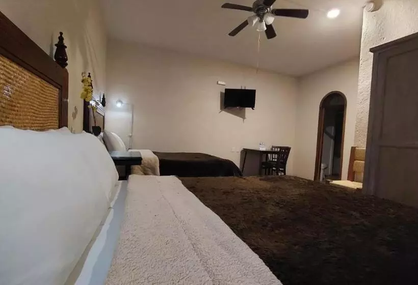 ホテル 19 De Enero Centro