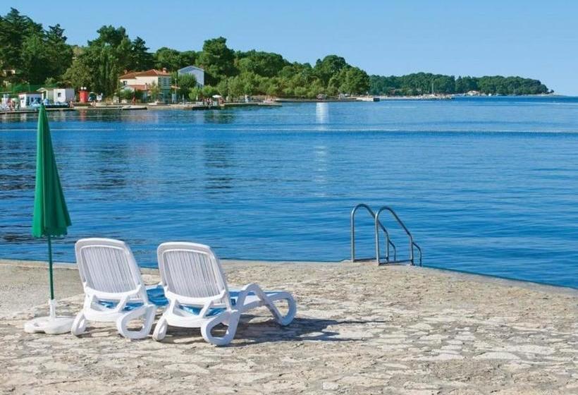 ペンション Apartments And Rooms With Parking Space Porec   6917