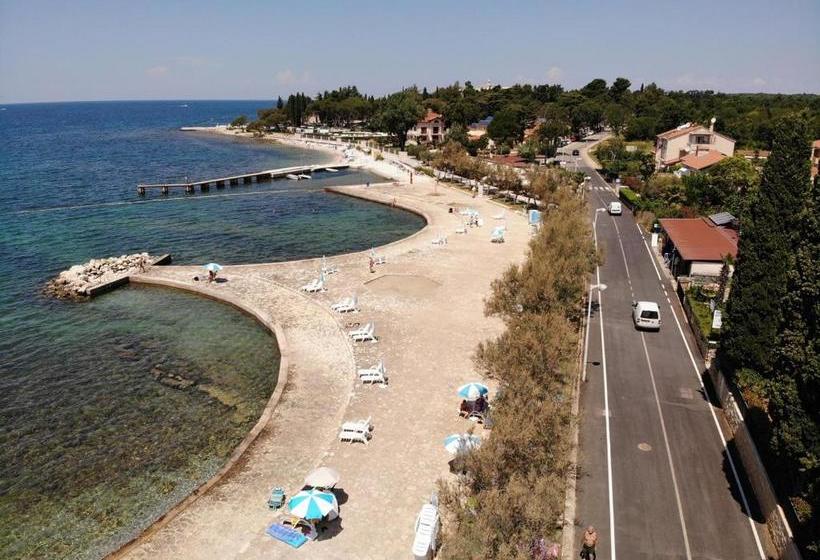 ペンション Apartments And Rooms With Parking Space Porec   6917