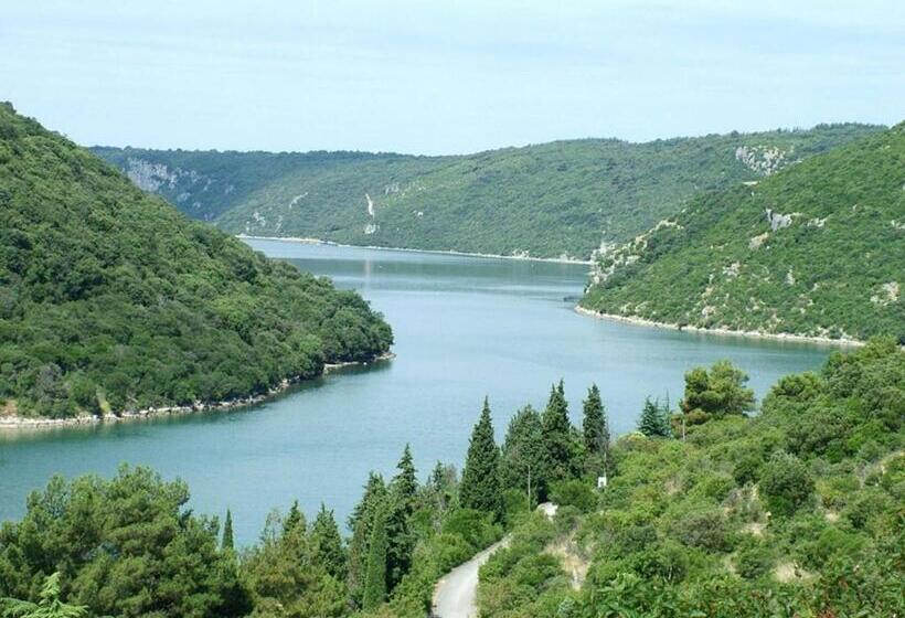 ペンション Apartments And Rooms With Parking Space Porec   6917