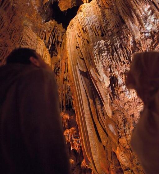 ペンション Apartments And Rooms With Parking Space Porec   6917