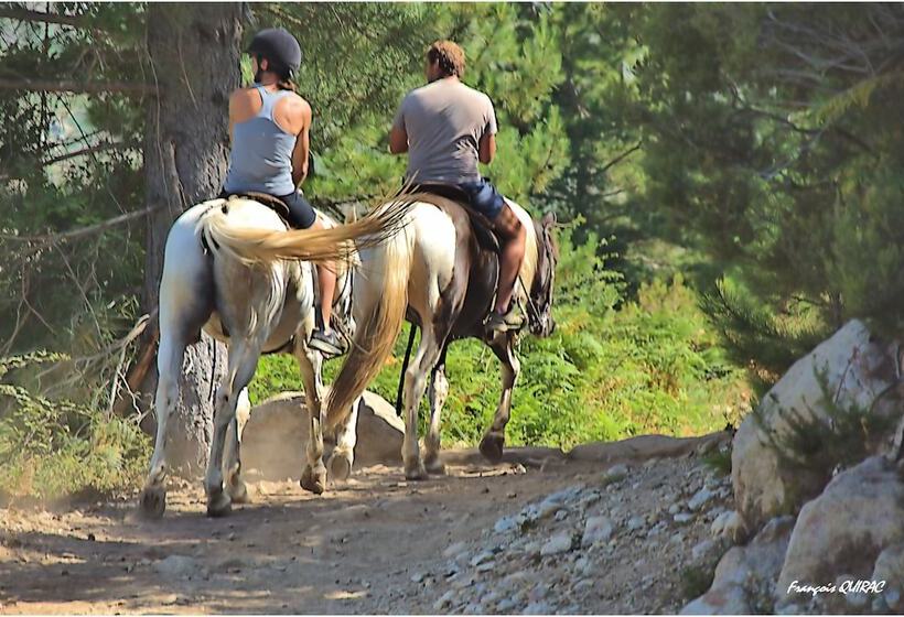 Отель Hôtel Des Deux Sorru