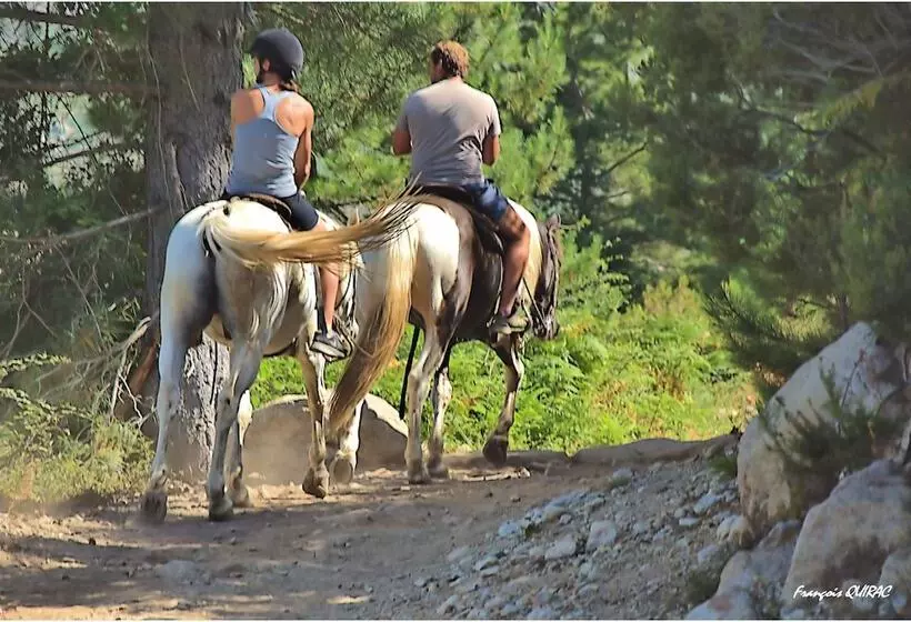 Отель Hôtel Des Deux Sorru