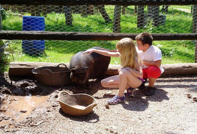 호텔 Càmping Vall De Camprodon