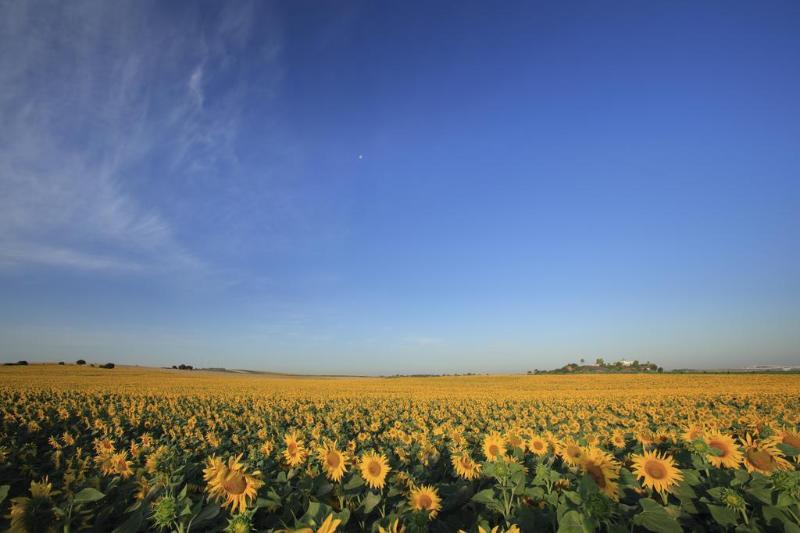 호텔 Hacienda De San Rafael By Aluz Collection