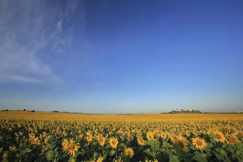 Отель Hacienda De San Rafael By Aluz Collection