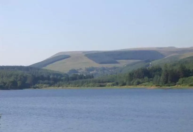 Отель Llwyn Onn Guest House