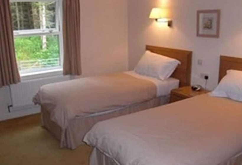 בית מלון כפרי Llwyn Onn Guest House